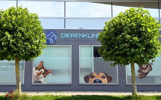 Klantcase_Dierenkliniekhw.jpg